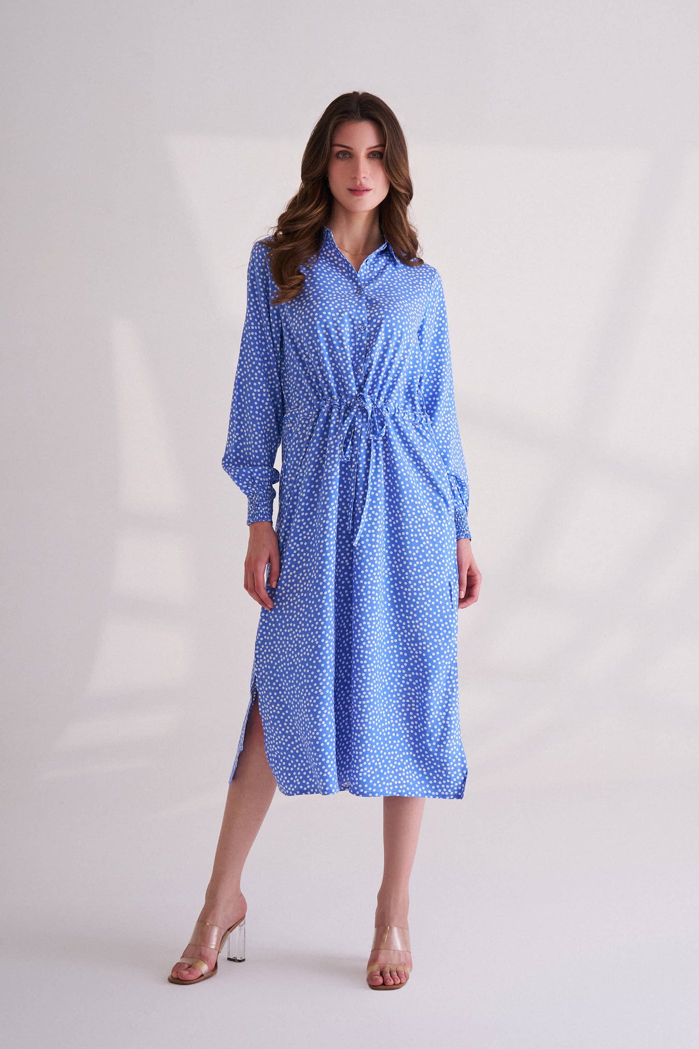 Blue Bonnet Dress