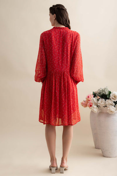 Poinsettia Red Dress